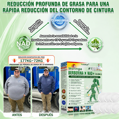 🥇🥇𝑻𝒊𝒆𝒏𝒅𝒂 𝑶𝒇𝒊𝒄𝒊𝒂𝒍 | VIXIRUS® 𝑴𝒐𝒓𝒊𝒏𝒈𝒂 · 𝑩𝒆𝒓𝒃𝒆𝒓𝒊𝒏𝒂 × 𝑵𝑨𝑫+ 𝑷𝒂𝒕𝒄𝒉 𝒂𝒗𝒂𝒏𝒛𝒂𝒅𝒐 𝟏𝟎-𝒆𝒏-𝟏 𝒄𝒐𝒏 𝒏𝒂𝒏𝒐 𝒎𝒊𝒄𝒓𝒐𝒂𝒈𝒖𝒋𝒂𝒔