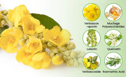 ❣️✅UK Owned and Operated|VIXIRUS® Botanical Mullein Lung Cleanse Diffuser (💝 Cough, wheezing, shortness of breath, sputum, stuffy nose, bronchitis, bronchitis, allergy symptoms, lung discomfort💝)